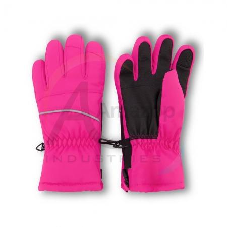 Winter Gloves